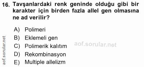 Soru 16