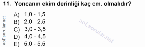 Soru 11