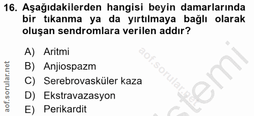 Soru 16