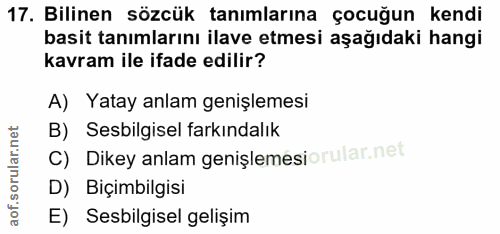 Soru 17