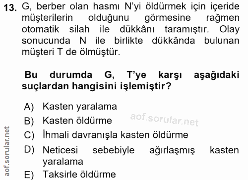 Soru 13