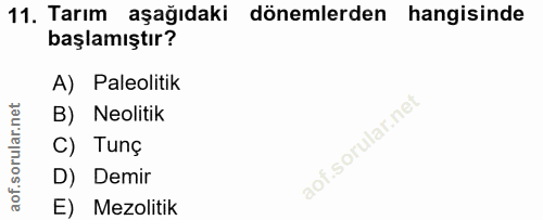 Soru 11