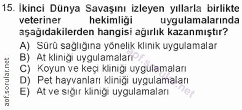 Soru 15
