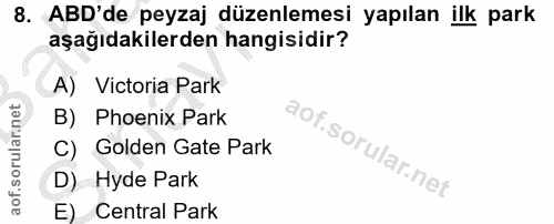Soru 8
