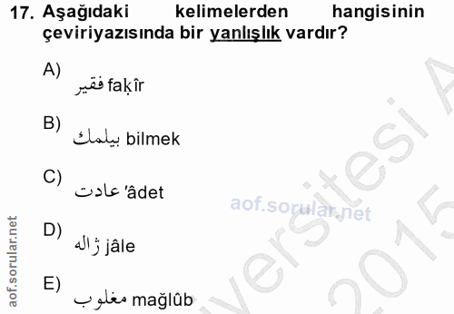 Soru 17