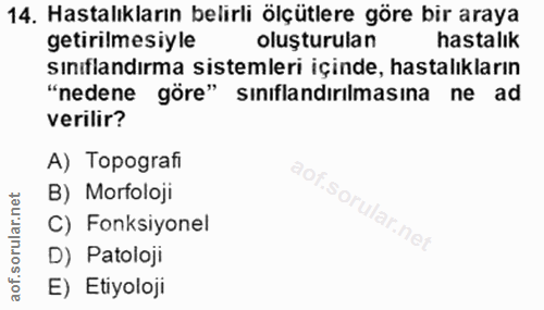 Soru 14