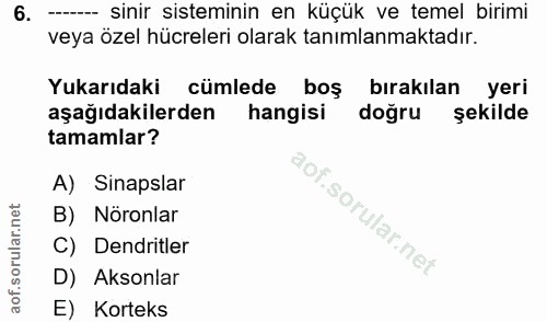 Soru 6