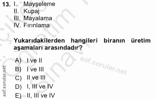 Soru 13