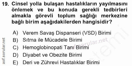 Soru 19