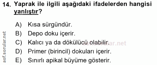 Soru 14
