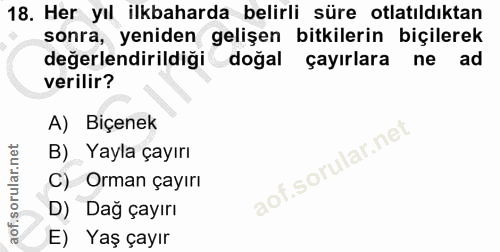 Soru 18