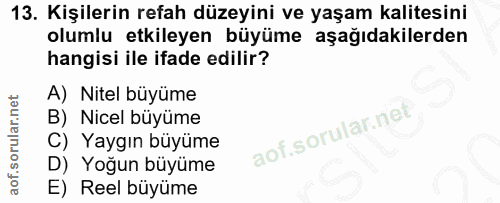Soru 13