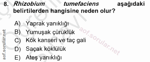 Soru 8