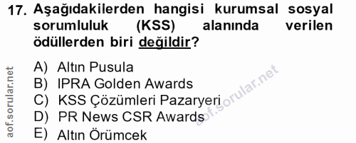 Soru 17