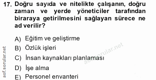 Soru 17