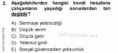 Soru 2