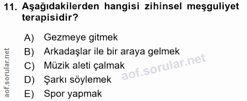 Soru 11
