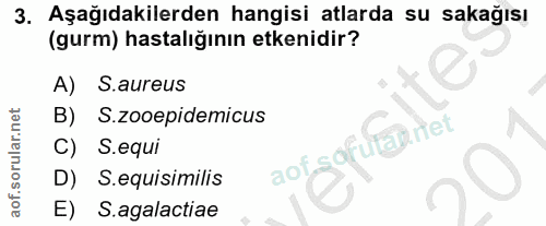 Soru 3