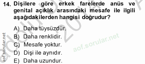 Soru 14