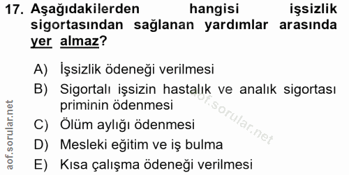 Soru 17
