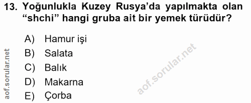 Soru 13