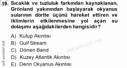 Soru 19