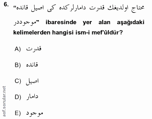 Soru 6