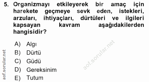 Soru 5