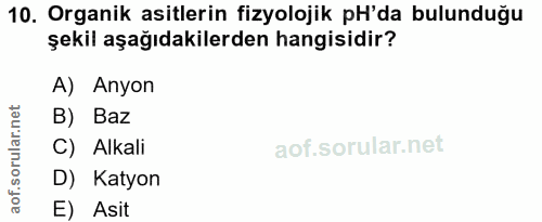 Soru 10
