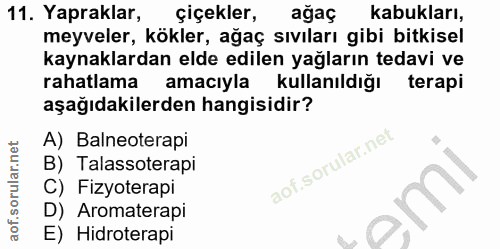 Soru 11