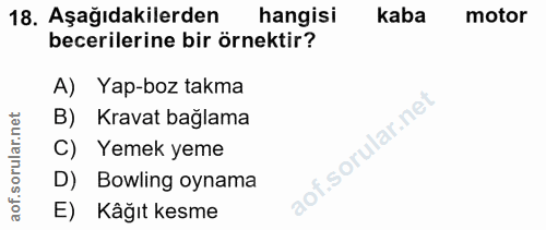 Soru 18