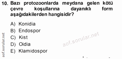 Soru 10