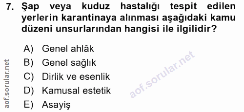 Soru 7