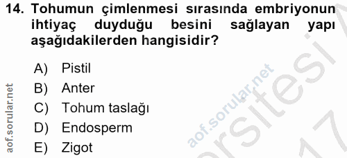 Soru 14