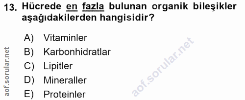 Soru 13