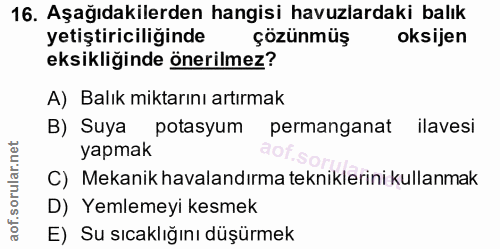 Soru 16