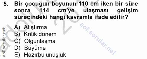 Soru 5