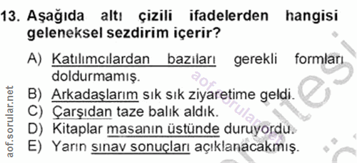 Soru 13