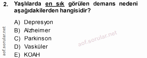 Soru 2
