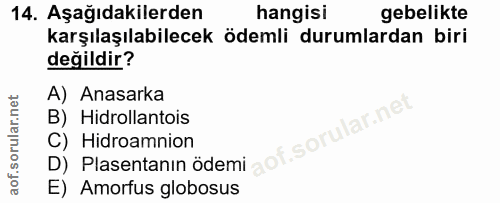 Soru 14