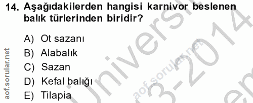 Soru 14