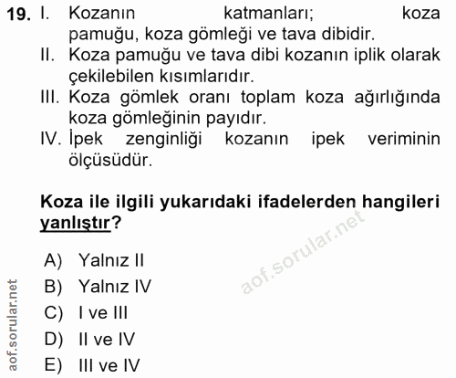 Soru 19