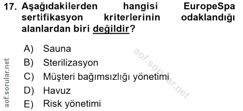 Soru 17