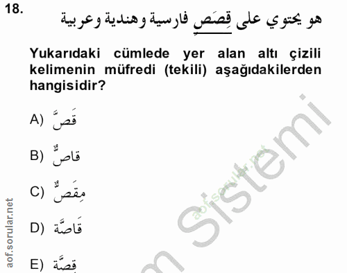 Soru 18