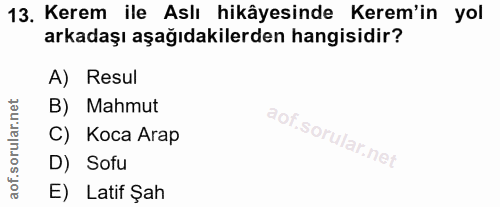 Soru 13