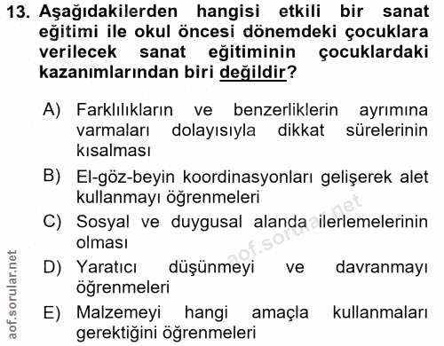 Soru 13