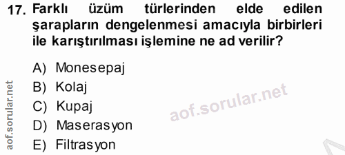 Soru 17