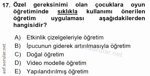 Soru 17