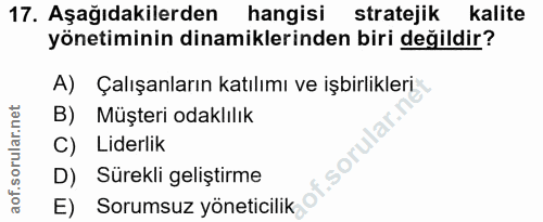 Soru 17