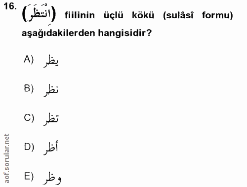 Soru 16